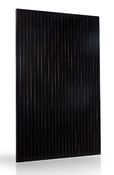 Pannello Solare Fotovoltaico Trienergia 60 celle MWT